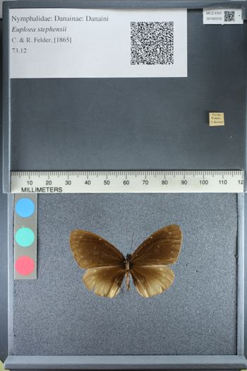 Media type: image;   Entomology 160316